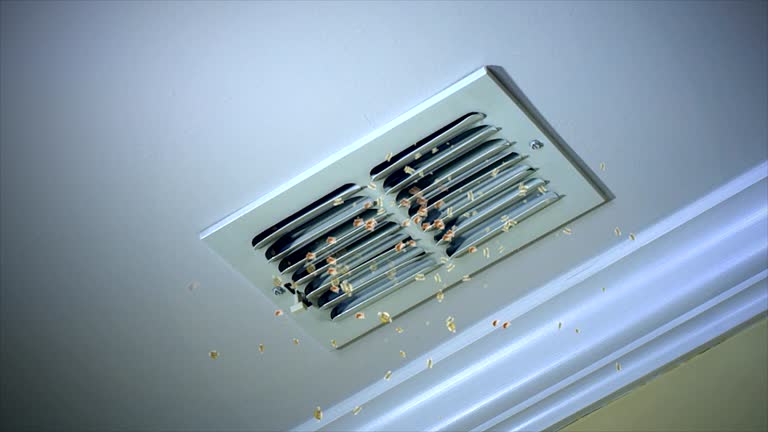 Best HVAC System Cleaning  in Hokes Bluff, AL