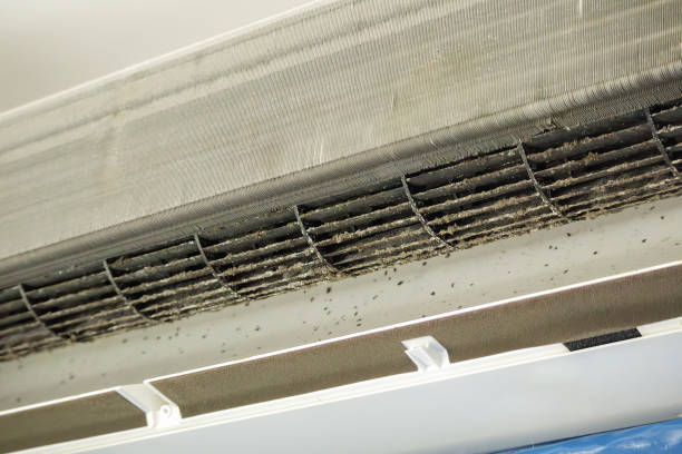 Best Affordable Duct Cleaning Services  in Hokes Bluff, AL